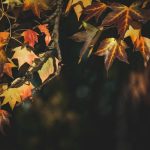 Door Manzil Hai Raah-Guzar Tanha - Lyrics