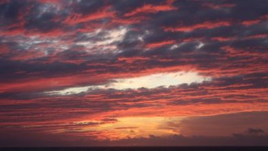 Dekh Letay Ho Mohabbat Se Yehi Kaafi Hai - Urdu Ghazal