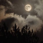 Hamein Kaash Tum Se Mohabbat Na Hoti - Lyrics