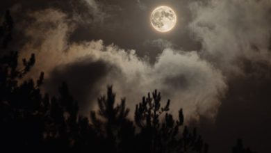 Hamein Kaash Tum Se Mohabbat Na Hoti - Lyrics