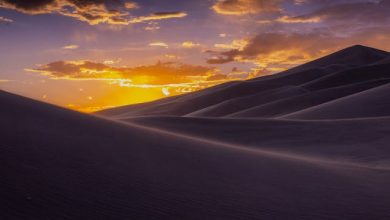 Sada Paon Mein Beeri Haathon Mein Zanjeer Dekhi Hai - Ghazal
