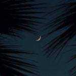 Khair Auron Ne Bhi Chaha To Hai Tujh Sa Hona - Urdu Ghazal