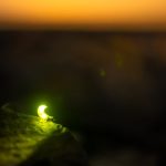 Ye Jugnuon Ki Qiyadat Mein Chalne Wale Log - Urdu Shayari