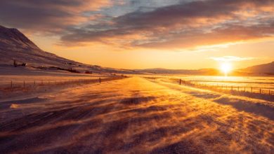 Saal Ki Aakhri Malganji Zard Si Shaam Dhalti Hui New Year Poetry in Urdu