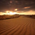 Yahan Darakht Thay Saya Tha Kuch Dinon Pehle - Urdu Ghazal