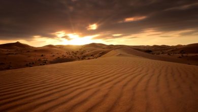 Yahan Darakht Thay Saya Tha Kuch Dinon Pehle - Urdu Ghazal