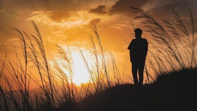 Ab Yeh Aalam Hai Ke Gham Ki Bhi Khabar Hoti Nahi - Urdu Ghazal