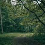 Hairaan Hoon Ke Ye Kaun Sa Dastoor-E-Wafa Hai - Ghazal