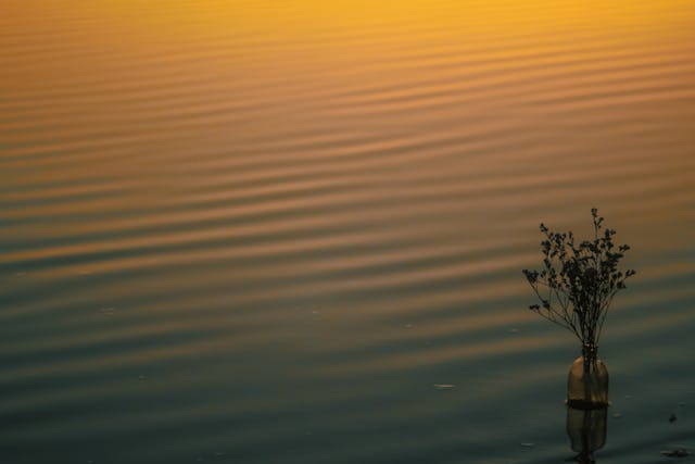 Mohabbat Ki Jhooti Kahani Pe Roye - Lyrics