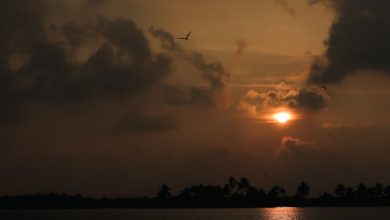 Sukoot-e-Waqt Mitaao, Bohat Udaas Hai Dil - Sad Poetry