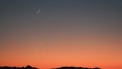 Kisi Ke Dukh Ko Zarurat Thi Pardah Poshi Ki - Sajid Raheem