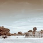 Yeh Duniya Hai, Yahan Pe Dastaanen Maar Deti Hain