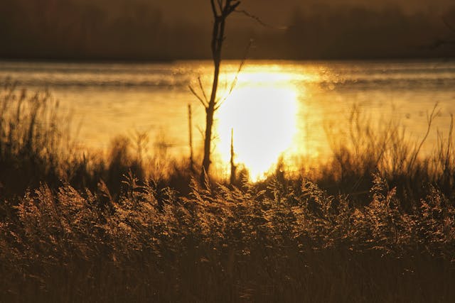 Tum Naghma-e-Mah Ho, Anjum Ho - Lyrics