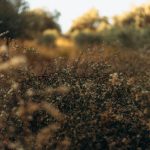 Woh Baaten Teri Woh Fasaane Tere - Lyrics