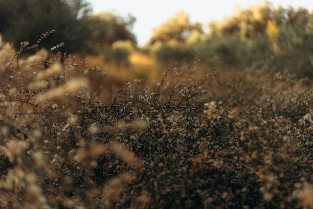 Woh Baaten Teri Woh Fasaane Tere - Lyrics