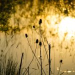 Woh Nahi Mila To Malal Kya