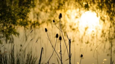 Woh Nahi Mila To Malal Kya