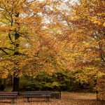 Mujhe Aisa Lutf Ata Kiya Ke Jo Hijr Tha Na Visaal Tha