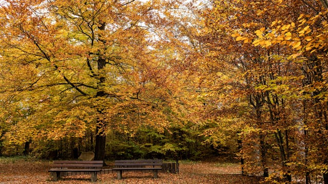 Mujhe Aisa Lutf Ata Kiya Ke Jo Hijr Tha Na Visaal Tha