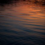 Rakhte Hain Dushmani Bhi Jatate Hain Pyar Bhi - Ghazal