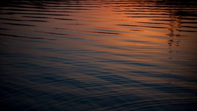 Rakhte Hain Dushmani Bhi Jatate Hain Pyar Bhi - Ghazal