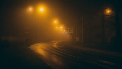 Ajnabi Sheher Ke Ajnabi Raaste - Lyrics