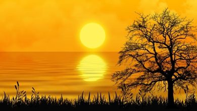 Aa Chal Ke Tujhe Main Le Ke Chaloon [Lyrics]