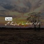 اُٹھ شاہ حسینا ویکھ لے اسی بدلی بیٹھے بھیس