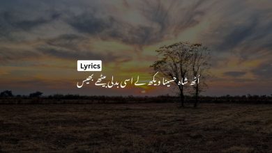 اُٹھ شاہ حسینا ویکھ لے اسی بدلی بیٹھے بھیس