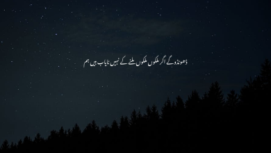 Dhoondoge Agar Mulkon Mulkon - Full Poetry