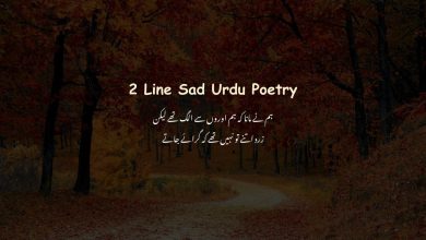 2 Line Sad Urdu Poetry - Heart Broken Poetry