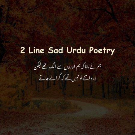 2 Line Sad Urdu Poetry - Heart Broken Poetry