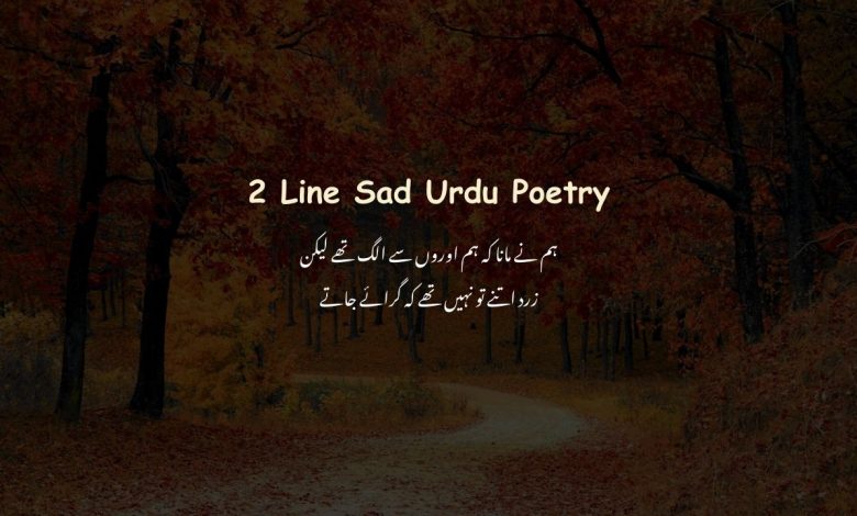 2 Line Sad Urdu Poetry - Heart Broken Poetry