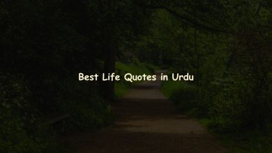 Best Life Quotes in Urdu with Deep Meanings