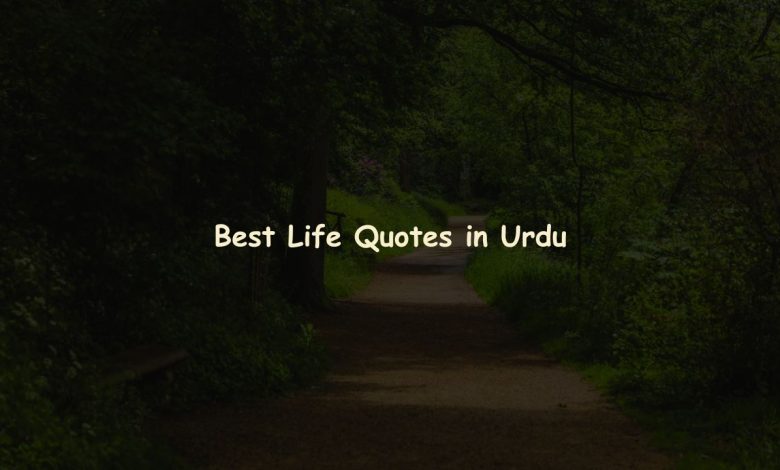 Best Life Quotes in Urdu with Deep Meanings