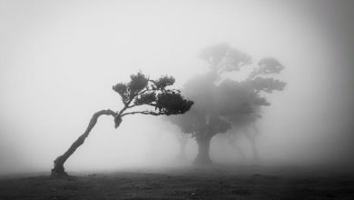 Kya Baat Hai, Jis Ka Gham Bohat Hai - Sad Poetry