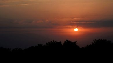 Ghazal - Deewangi Se Kaam Liya Hai Kabhi Kabhi Poet: Saeed Shaheedi