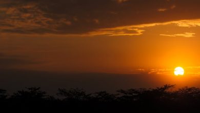 Mareez Mohabbat Unhein Ka Fasana Sunata Raha Dam Nikalte Nikalte