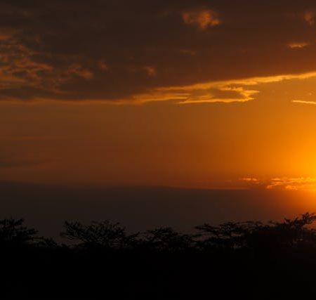 Mareez Mohabbat Unhein Ka Fasana Sunata Raha Dam Nikalte Nikalte