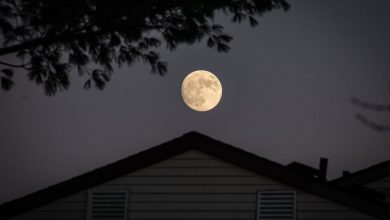 Jaane Us Shakhs Ko Ye Kaisa Hunar Aata Hai