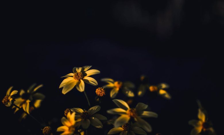 Kisi Ki Aankh Purnam Hai, Mohabbat Ho Gayi Ho Gi