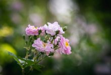 Kabhi Hum Khubsurat Thay (Lyrics)