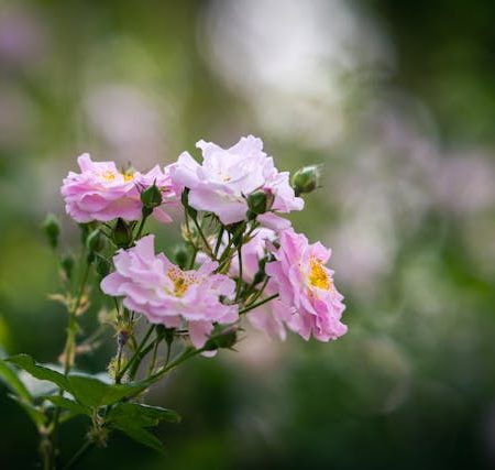 Kabhi Hum Khubsurat Thay (Lyrics)