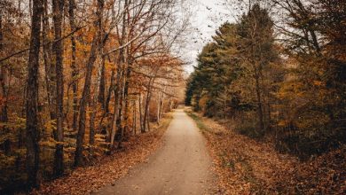 Aisa Nahin Kisi Se Mohabbat Nahi Humein - Urdu Poetry