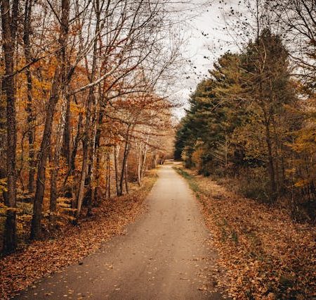 Aisa Nahin Kisi Se Mohabbat Nahi Humein - Urdu Poetry