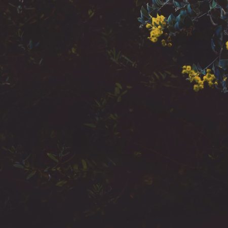 Jab Pyaar Nahin Hai To Bhala Kyun Nahin Dete - Ghazal