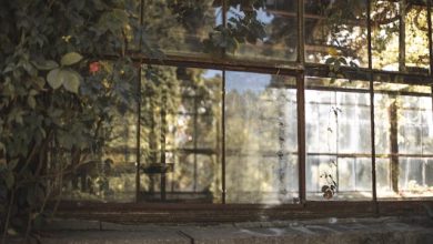 Kar Loon Ga Jama-e-Dolat O Zarr, Us Ke Baad Kya? - Qamar Jalalabadi