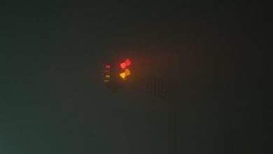 Duniya Ki Ab Haalat Yeh Hai Duniya Ke Yeh Naqshe Hain - Poetry