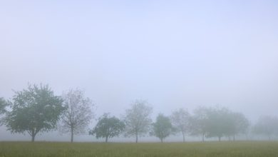 Hogaye Din Jinhein Bhulaye Hue - Urdu Ghazal