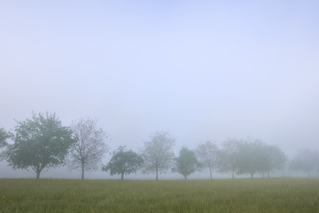 Hogaye Din Jinhein Bhulaye Hue - Urdu Ghazal